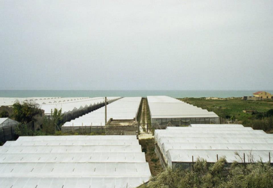  Punta Braccetto, colpi di pistola contro un lavoratore tunisino: la piaga sicurezza torna a far paura