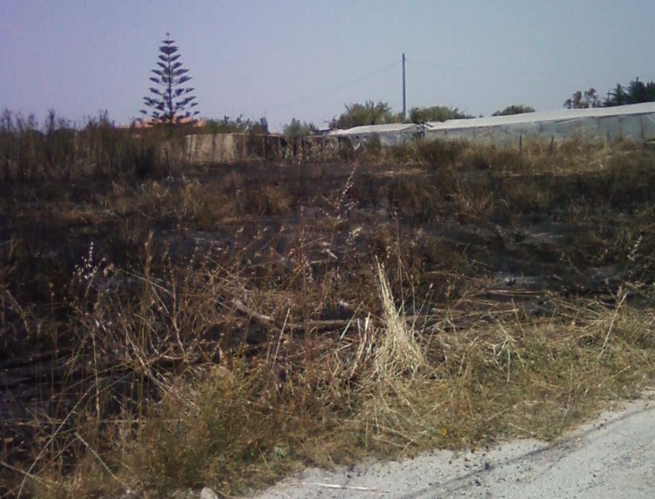  Grosso incendio in c.da Sottano-Pellegrino: danneggiate le serre, sfiorate le abitazioni
