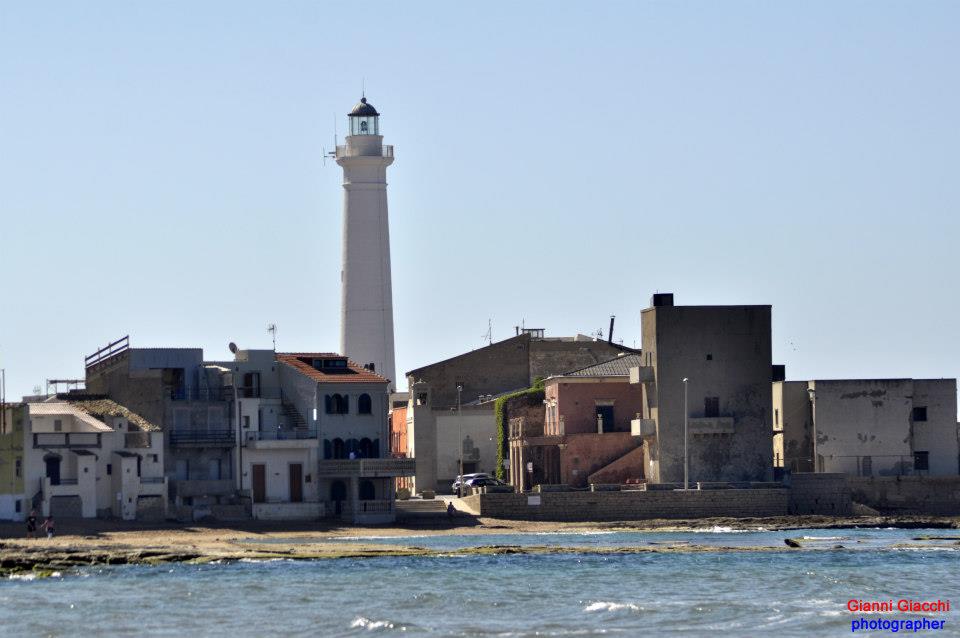  Punta Secca, una battuta di pesca in compagnia di sette delfini: il racconto di tre pescatori