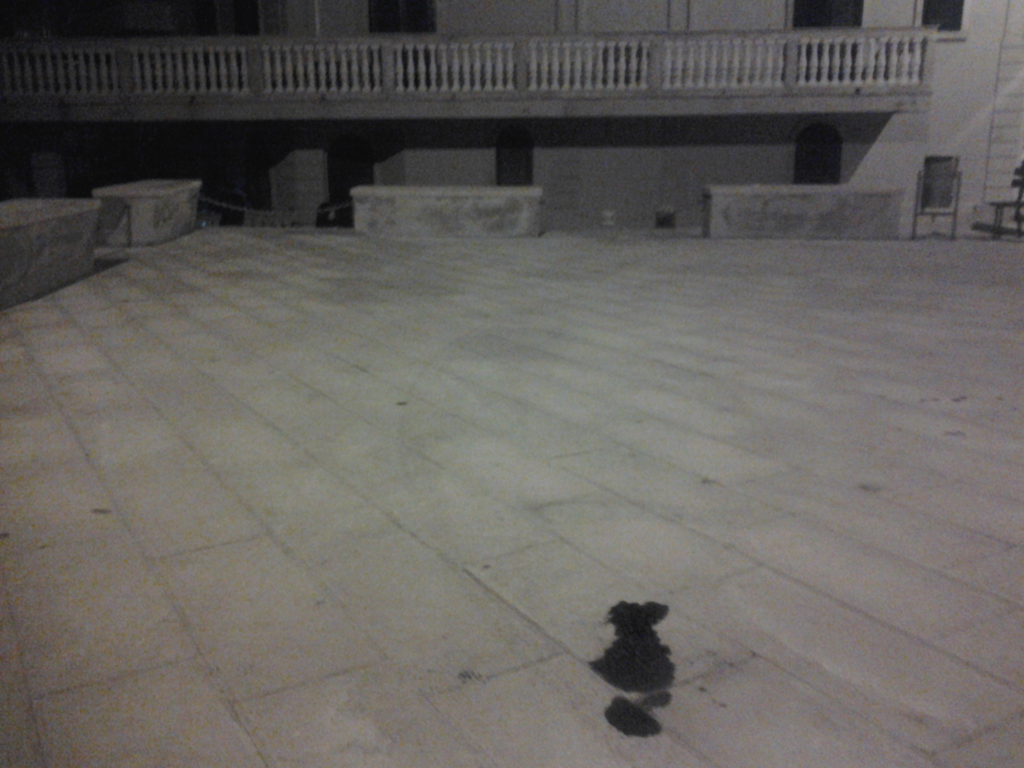 Una chiazza d’olio in piazza Torre, Fare Ambiente: “Ma l’accesso agli autoveicoli non è vietato?”