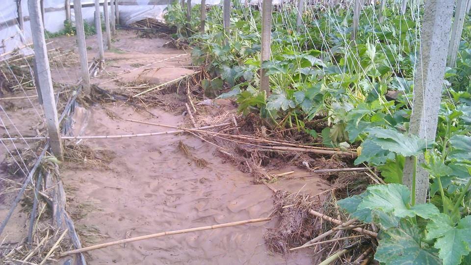  Maltempo, chiuse tre strade nel comune di Santa Croce: danni irreparabili alle coltivazioni