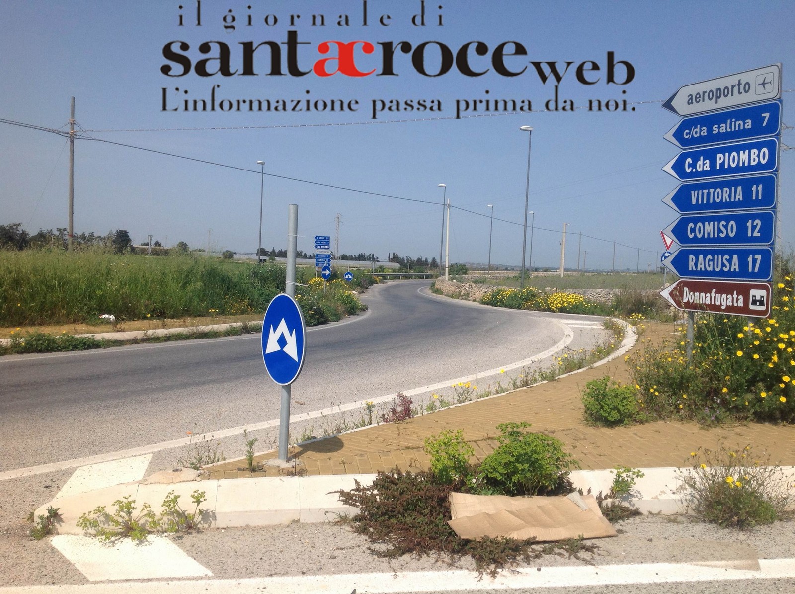  Vegetazione alta due metri nelle rotatorie della Sp S.Croce-Comiso: allarme degli automobilisti FOTO