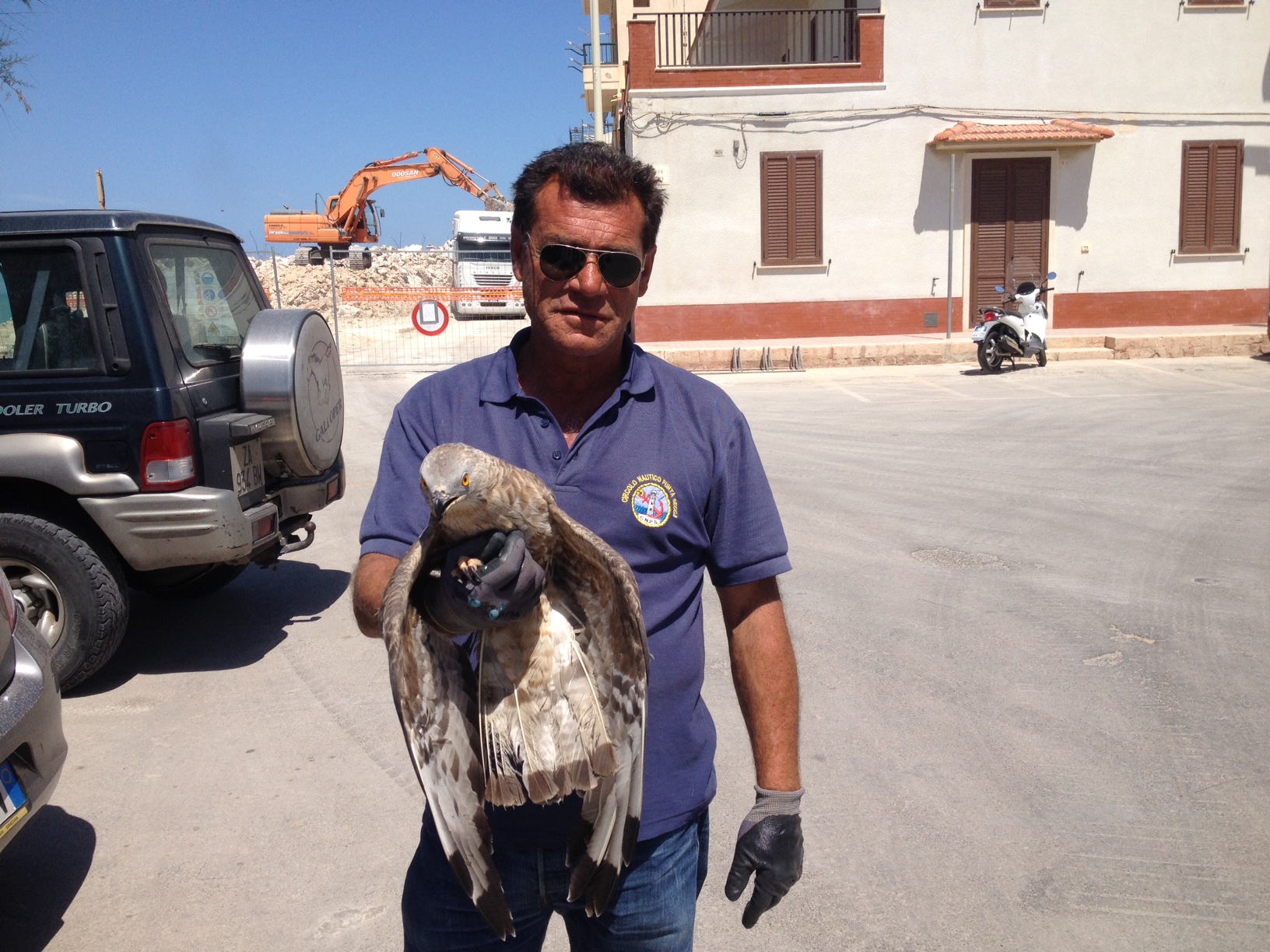  Trovato un falco sul ciglio della strada a Punta Secca: allertata la Ripartizione Faunistica di Ragusa