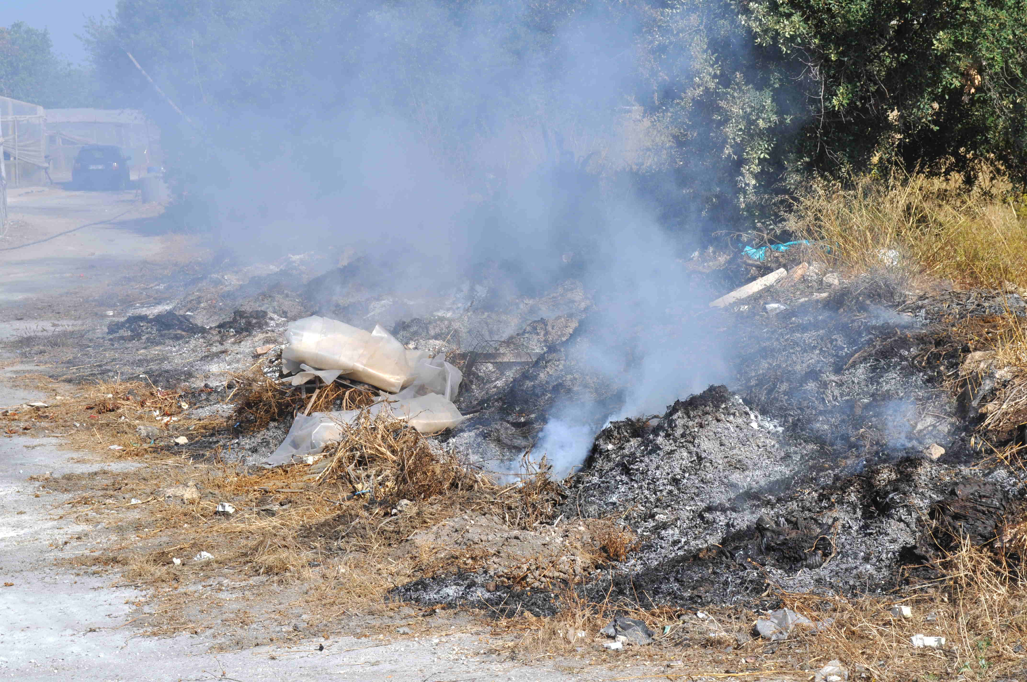  Una coltre di fumo invade P.Secca: “Tutte le sere appiccano fumarole, le autorità intervengano”