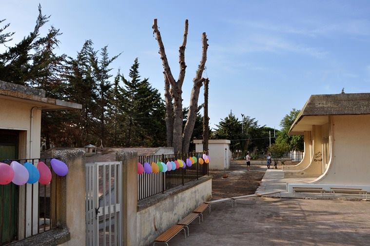  Scuola Materna, potatura estrema degli alberi. Genitori preoccupati: lettera polemica in redazione