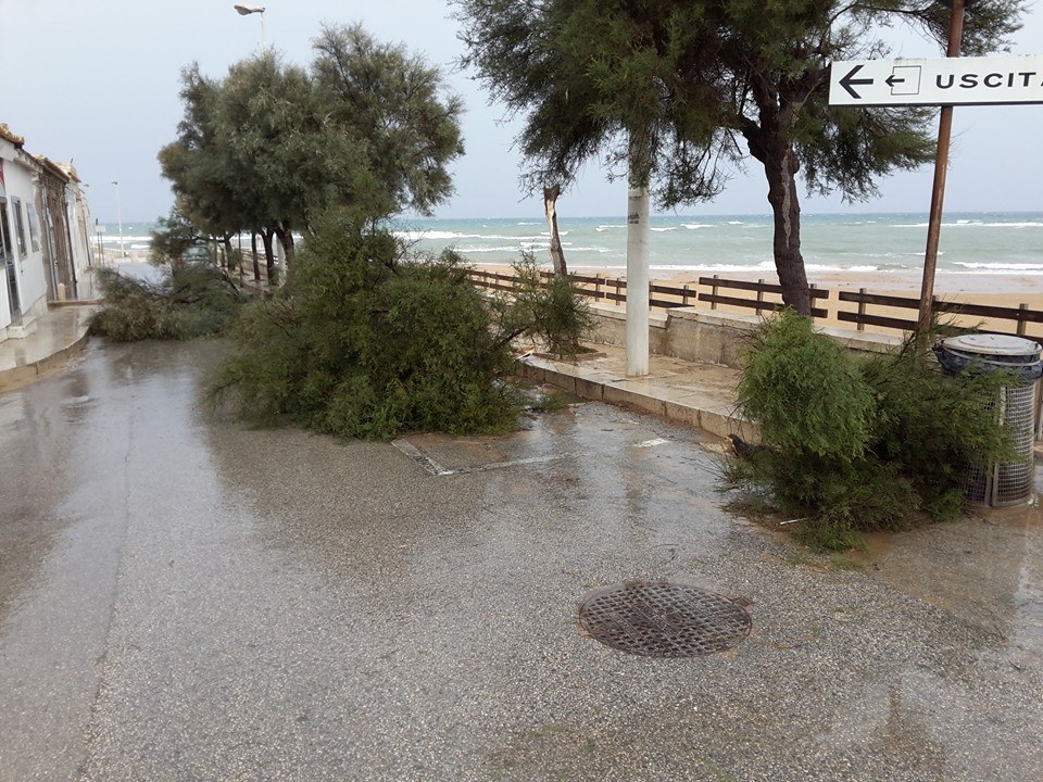  Una tromba d’aria colpisce S.Croce e la fascia costiera: abbattuti gli alberi a Punta Secca ECCO LE FOTO