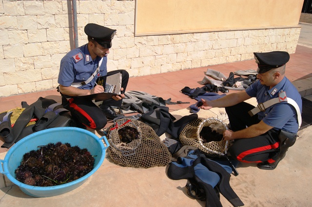  Carico illegale di ricci: fermate tre persone a Marina. A Santa Croce uno straniero deferito per ricettazione