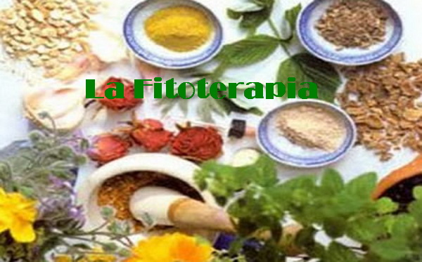  La Fitoterapia: come usare le piante a scopo preventivo e curativo RUBRICA DI MEDICINA NATURALE