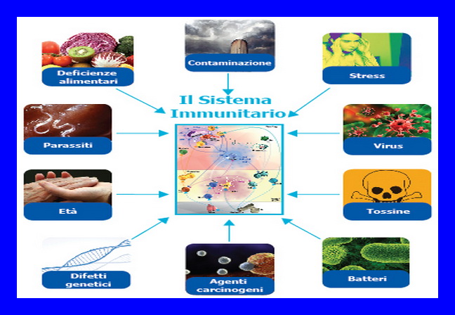  La Micro-Immunoterapia Omeopatica è la miglior alleata del sistema immunitario MEDICINA NATURALE