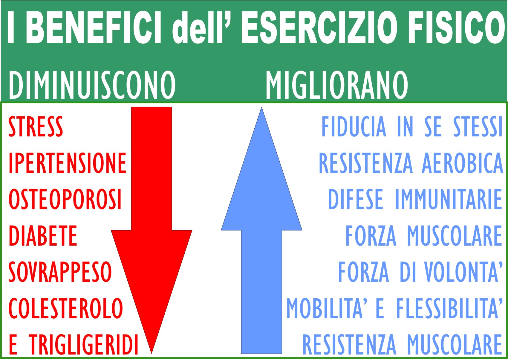 L’esercizio contro le malattie reumatiche: le miochine SALUTE E BENESSERE