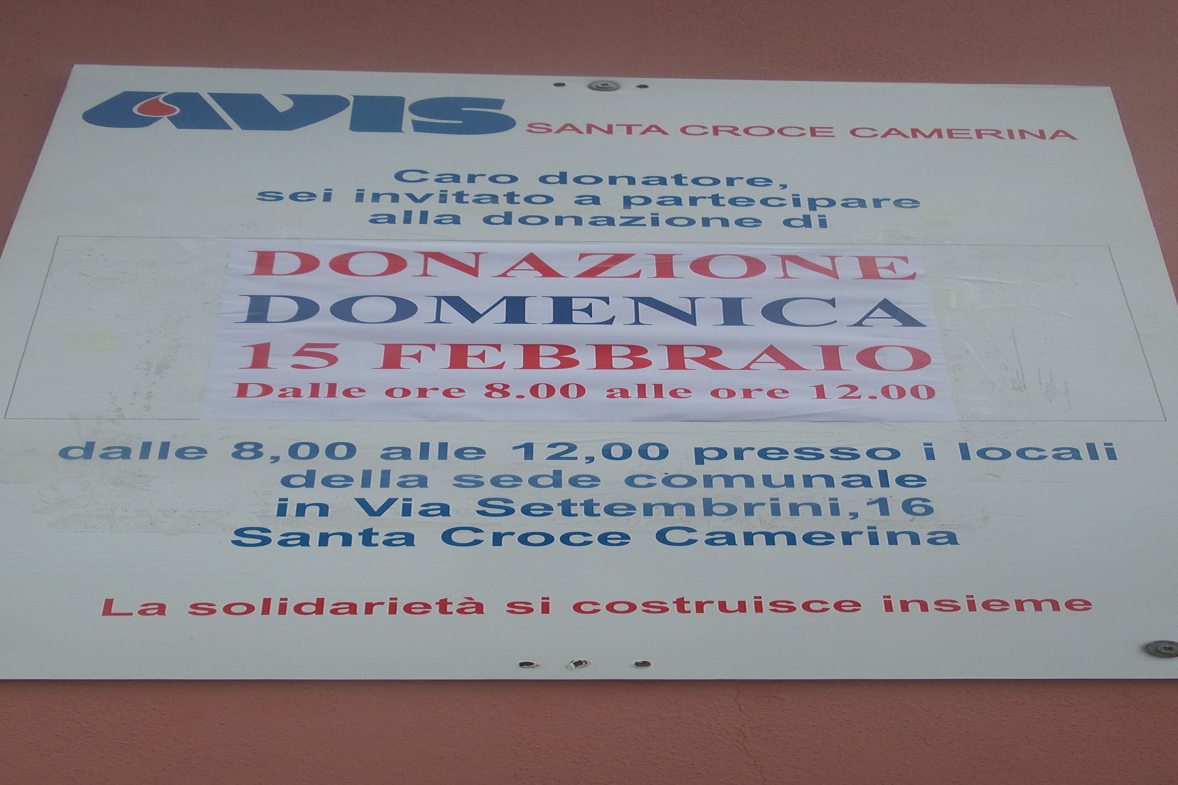 Avis, domenica donazione del sangue: dalle 8 alle 12 appuntamento in sede