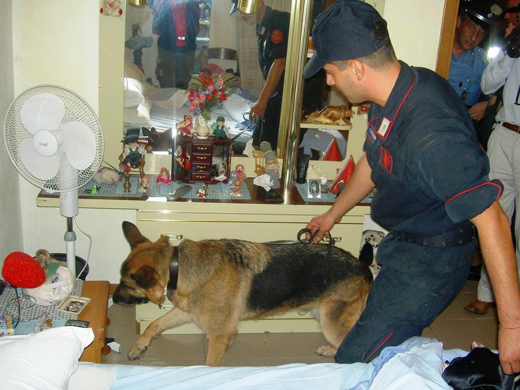  Ragusa – Il cane dei carabinieri cerca la droga, ma trova contatore elettrico manomesso: arrestato uomo di 50 anni
