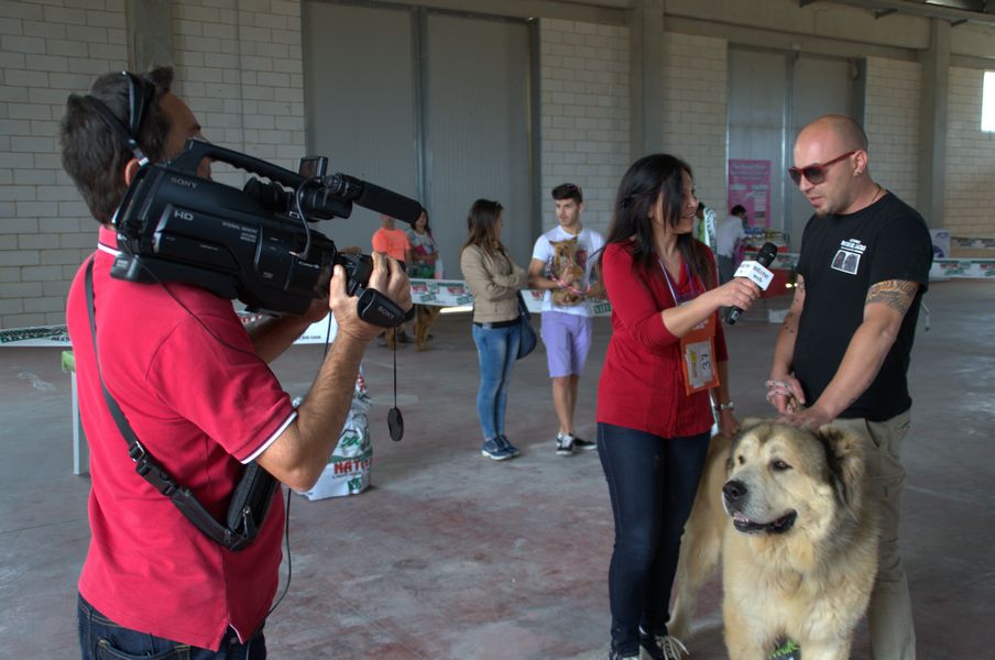  In scena la terza mostra cinofila: ecco il cane più bello VIDEO E FOTO