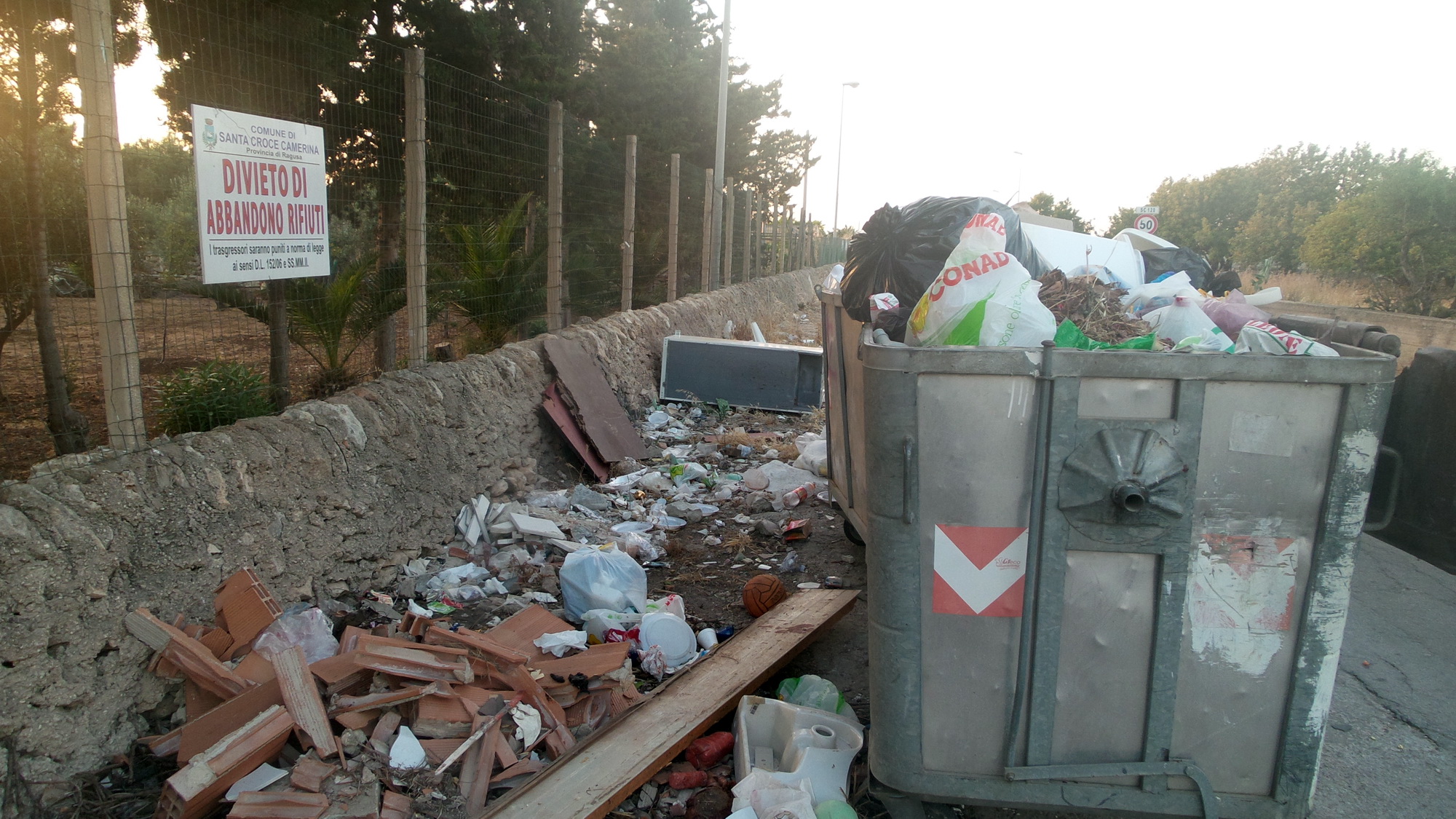  Erbacce e rifiuti accanto ai cassonetti, Fare Ambiente: “Punizioni severe”