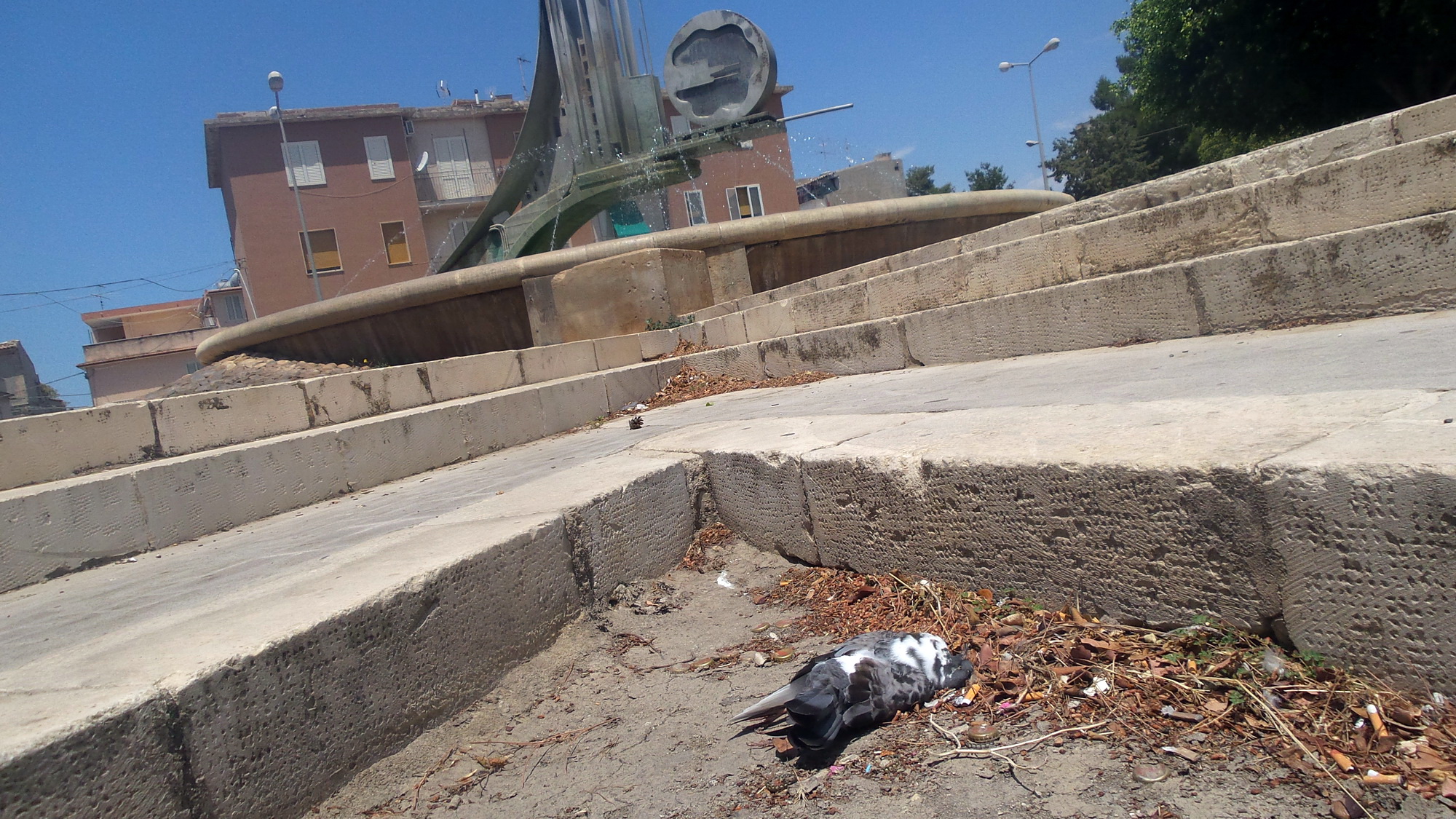  Altra segnalazione dei cittadini: rimuovere carcasse dei piccioni morti