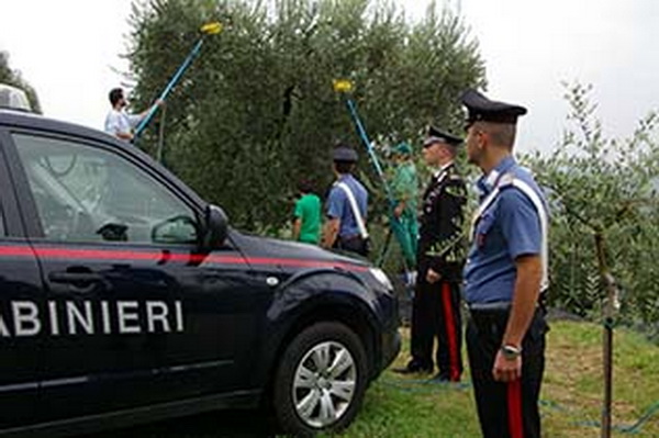  Provincia – Scoperti 10 lavoratori stranieri in nero. Sanzioni amministrative per 40.000 €