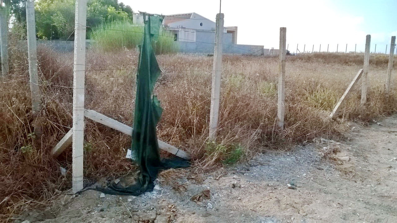  P.Secca è anche degrado: topi e rifiuti fra via Padre Pio e via Papa Luciani