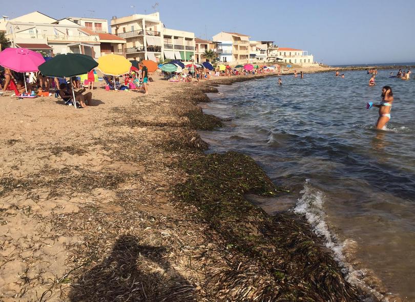  Alghe a Casuzze, interviene Agnello: “Basta cittadini di serie A e serie B”