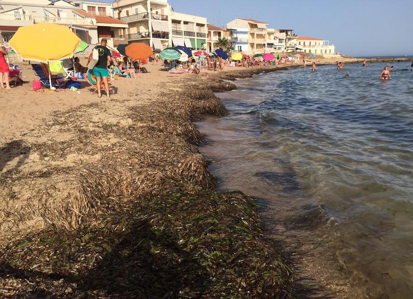  Casuzze, invasione di alghe: “Non abbiamo il coraggio di entrare in acqua”