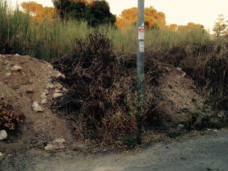  Ancora proteste da Caucana: via del Ranuncolo inghiottita da erbacce