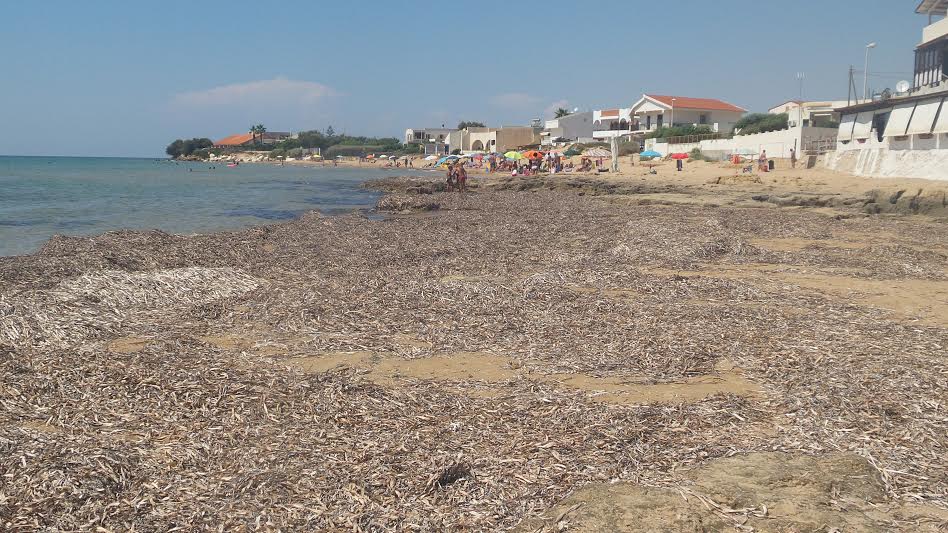  Casuzze, il pennello a mare s’ha da fare. Fare Ambiente sfiducia Legambiente