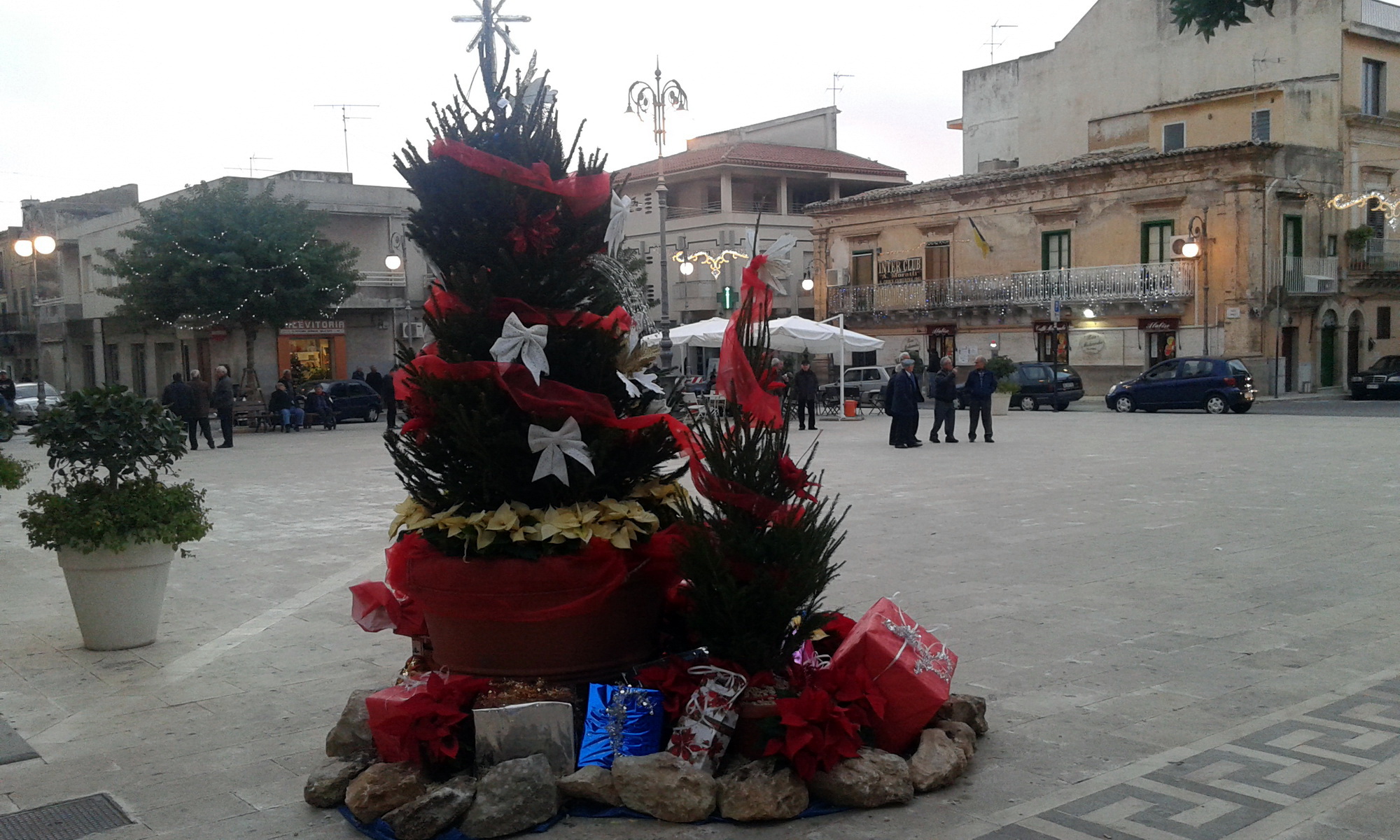  Due settimane al Natale: addobbato l’albero di piazza Vittorio Emanuele