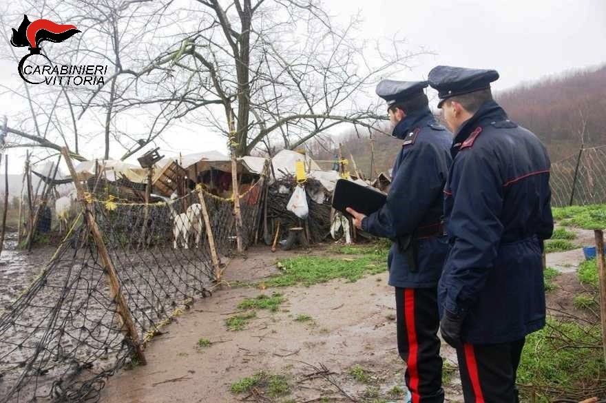  Chiaramonte Gulfi – Cani maltrattati e malnutriti: denunciato dai Carabinieri un 68enne agricoltore
