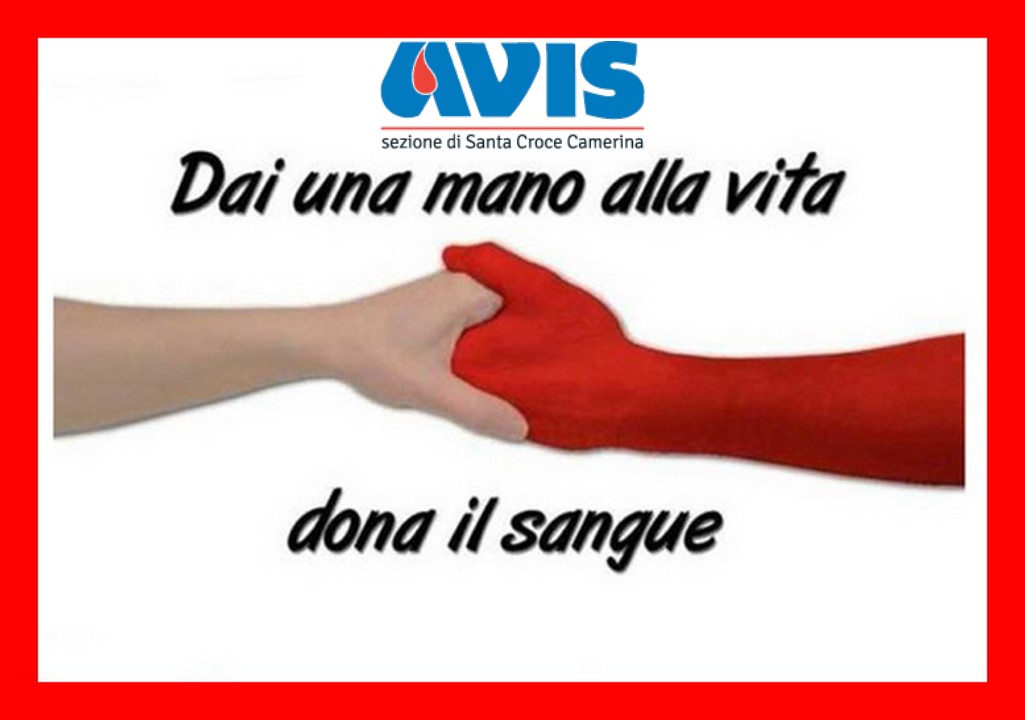  Avis, tre donazioni dal 21 al 28 febbraio: date una mano a chi ha bisogno