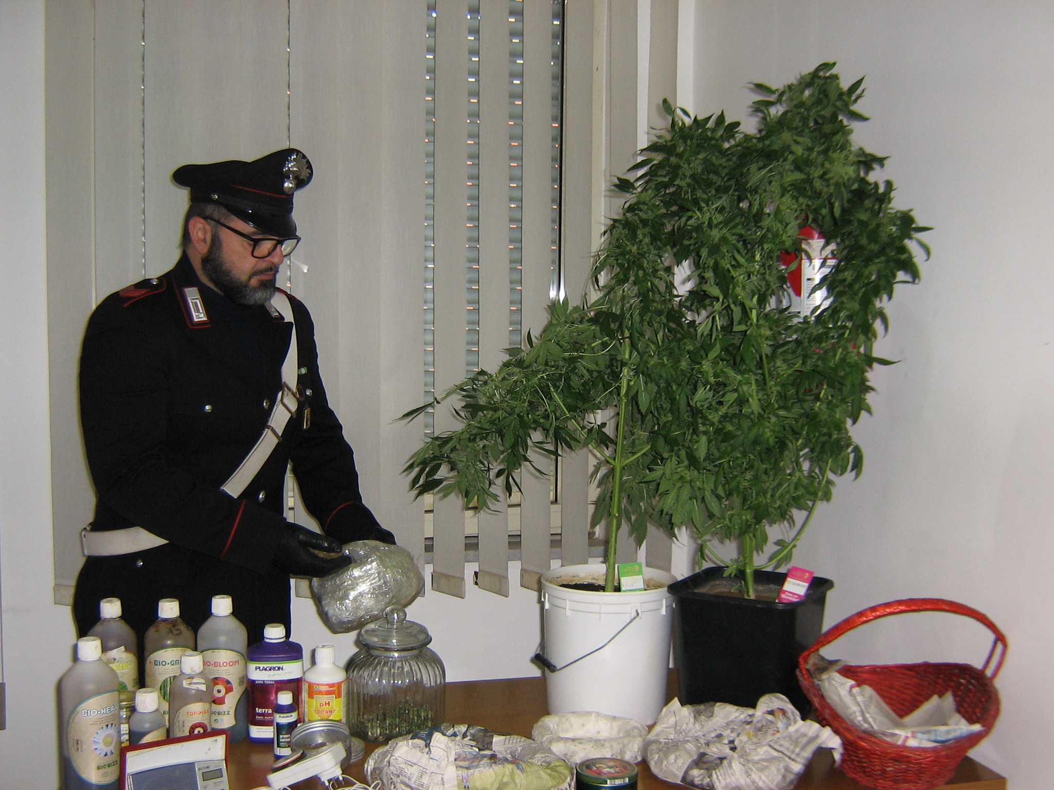  Scicli – Controlli antidroga dei Carabinieri: coltivava marijuana dentro casa, arrestato modicano