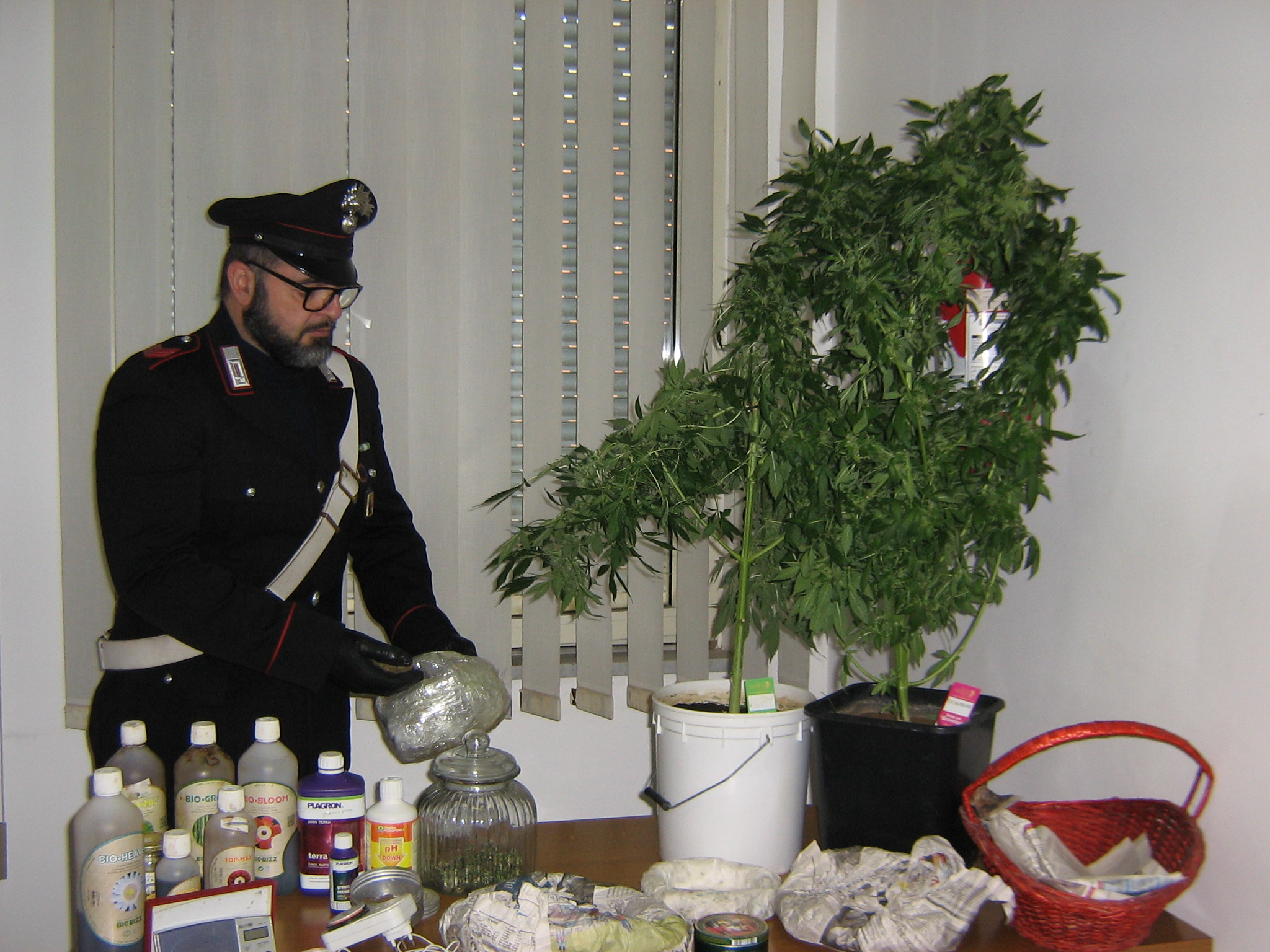 Scicli – Controlli antidroga dei Carabinieri: coltivava marijuana dentro casa, arrestato modicano