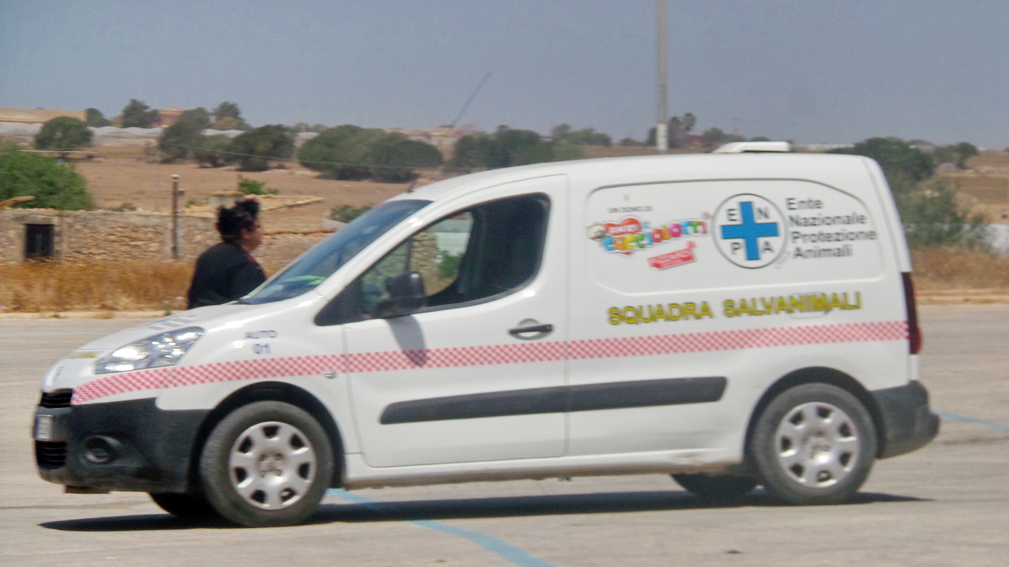 Liliana “adotta” un altro cane: la sua incessante opera per gli animali