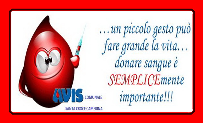  L’importanza di una donazione periodica: l’Avis vi aspetta domenica dalle 8