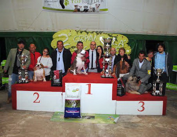  Ezio Desimone e il suo bull terrier primi classificati a Palazzolo Acreide