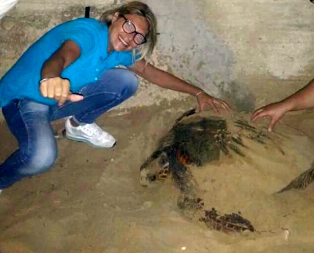  Una tartaruga caretta caretta depone le uova sulla spiaggia di P.Secca VIDEO