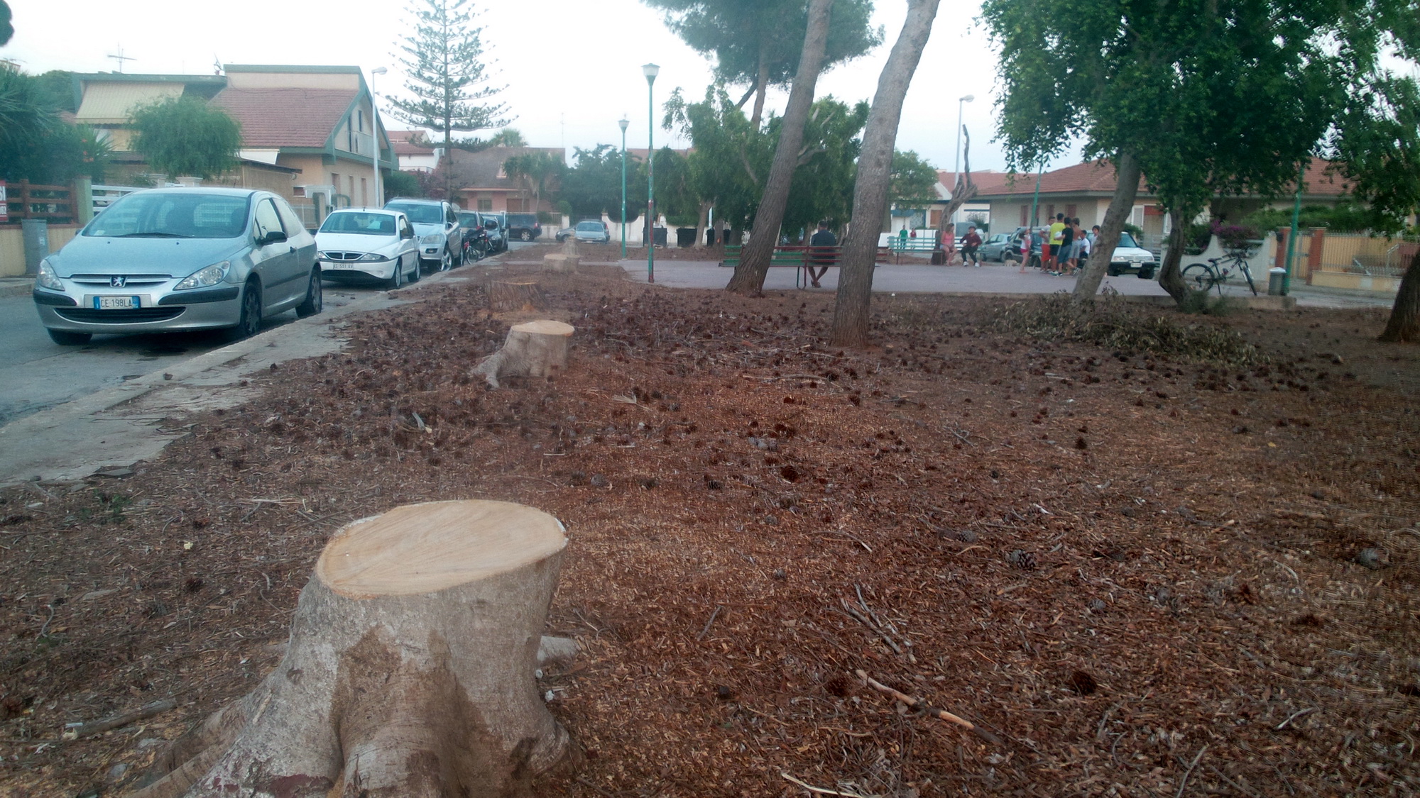  Caucana, in piazza Sicilia completato l’abbattimento di ventitrè alberi