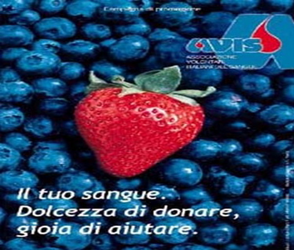  Santa Croce – Avis, venerdì 26 agosto giornata di donazione di sangue e plasma infrasettimanale