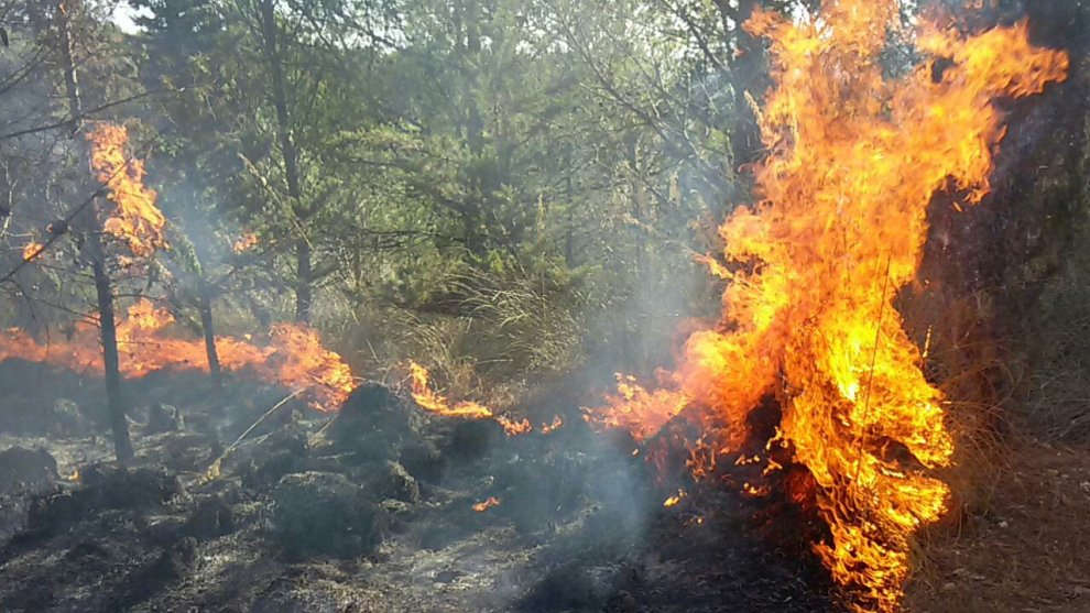  A Chiaramonte in fumo 400 ettari di bosco. Il sindaco Fornaro: “Chi sa, parli”