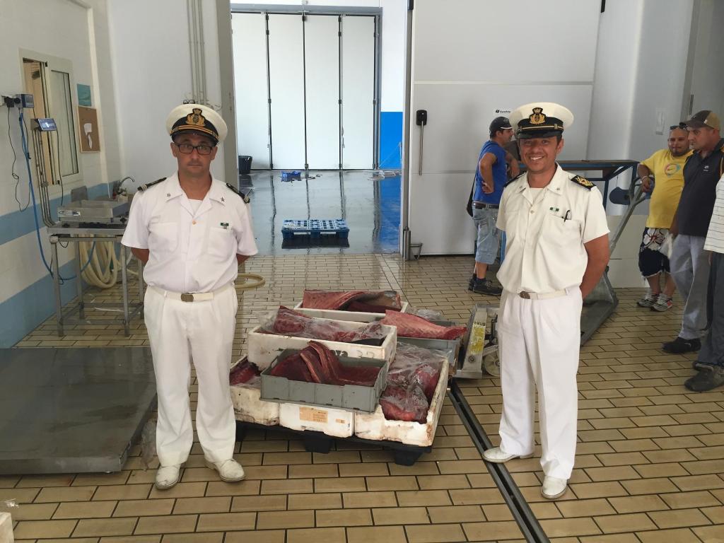  Casuzze, cattura un tonno di 100 kg abusivamente: 4mila euro di multa