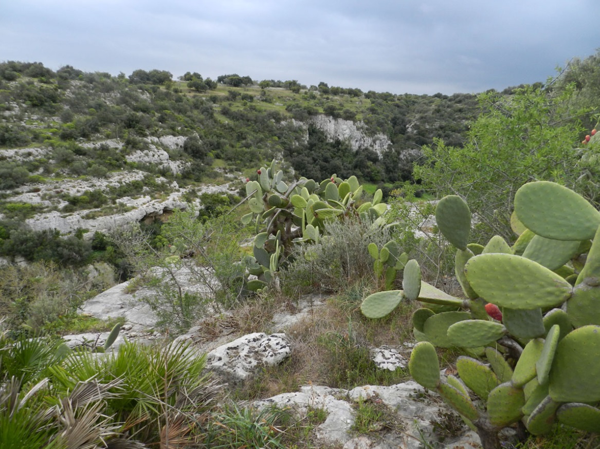 Ragusa – Nasce “Iblee Valley Circuits”, il circuito delle cave iblee cui aderiscono 5 comuni del Sud-Est siciliano