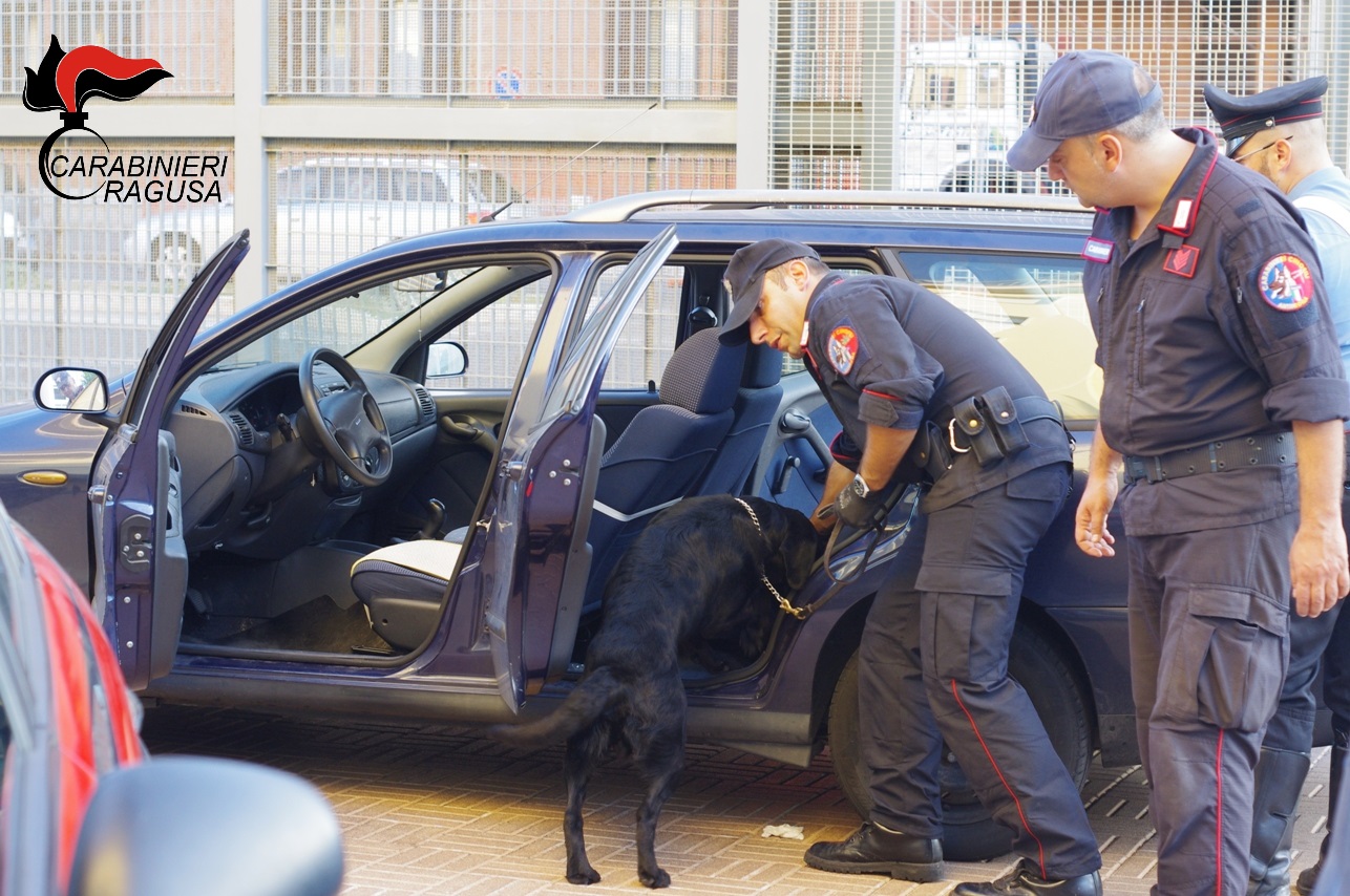  Comiso – Controlli antidroga, raffica di perquisizioni con unità cinofile: un arresto