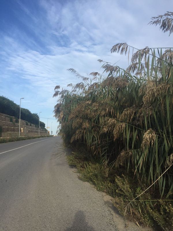 Santa Croce – Lavori di scerbatura e ripristino segnaletica verticale sulla s.p. 3 Scoglitti-Santa Croce