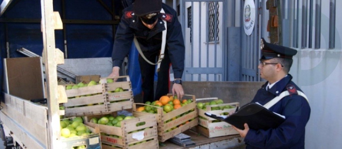  Ispica – Arrestate tre persone per il furto di 400 kg di agrumi da un’azienda agricola