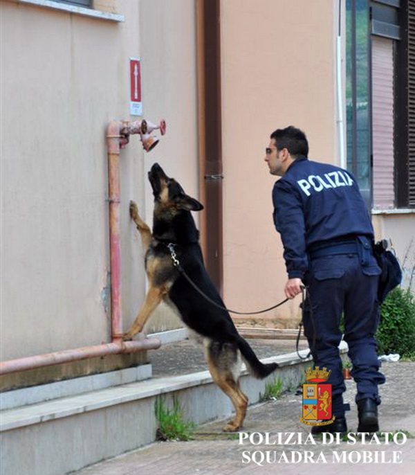  Vittoria, segnalati tre studenti: uno preparava spinello durante la lezione