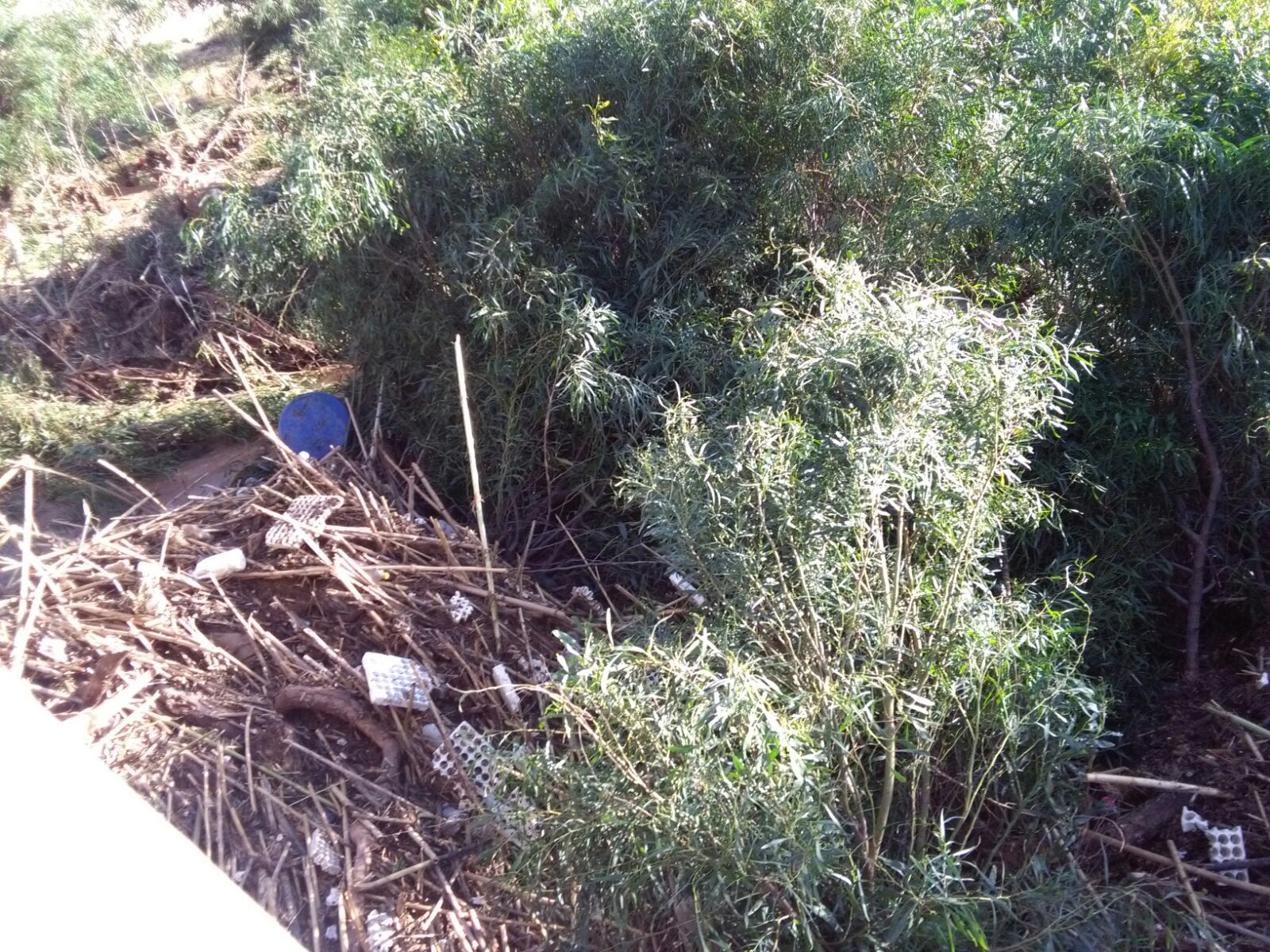  Punta Braccetto, il comune di Ragusa ripulisce ponte sul torrente Mistretta