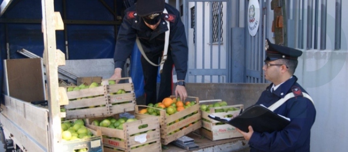  Ispica – Operazione “Campagne sicure”, eseguiti dai Carabinieri 4 arresti per furto di agrumi e di rame