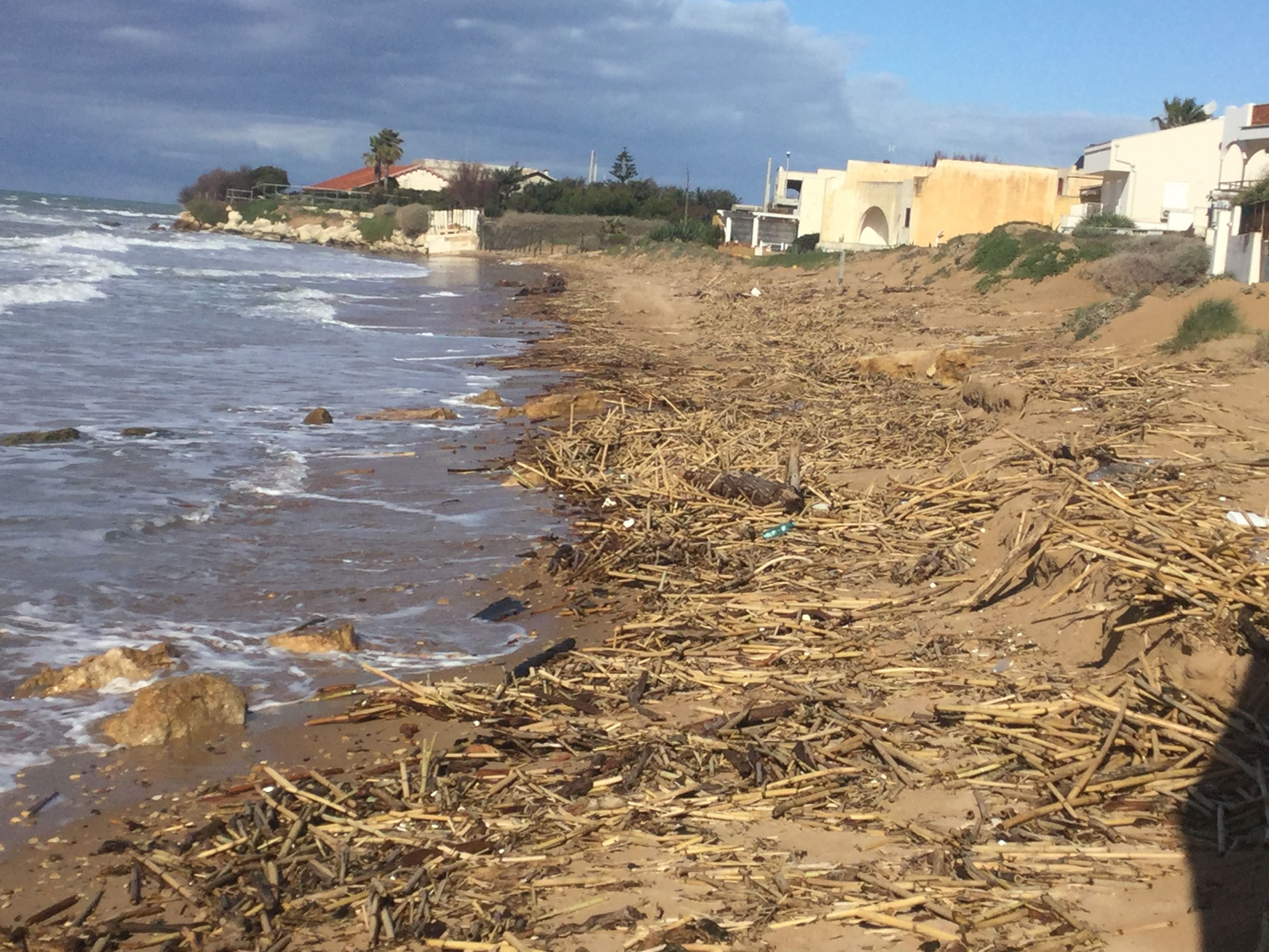  Salvate la spiaggia del Palmento: canne e tronchi, è un disastro! FOTOGALLERY