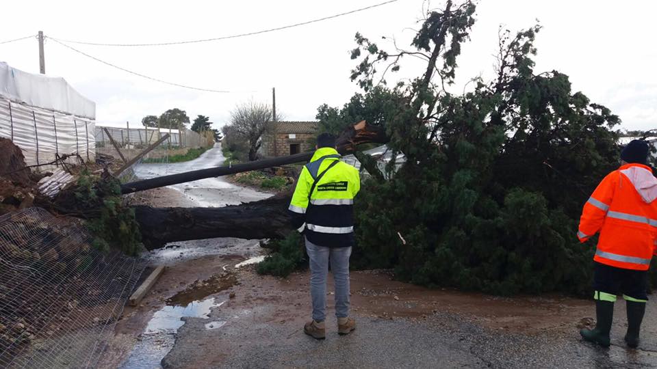  Torrenti esondati e alberi abbattuti: così Santa Croce dopo il nubifragio FOTO