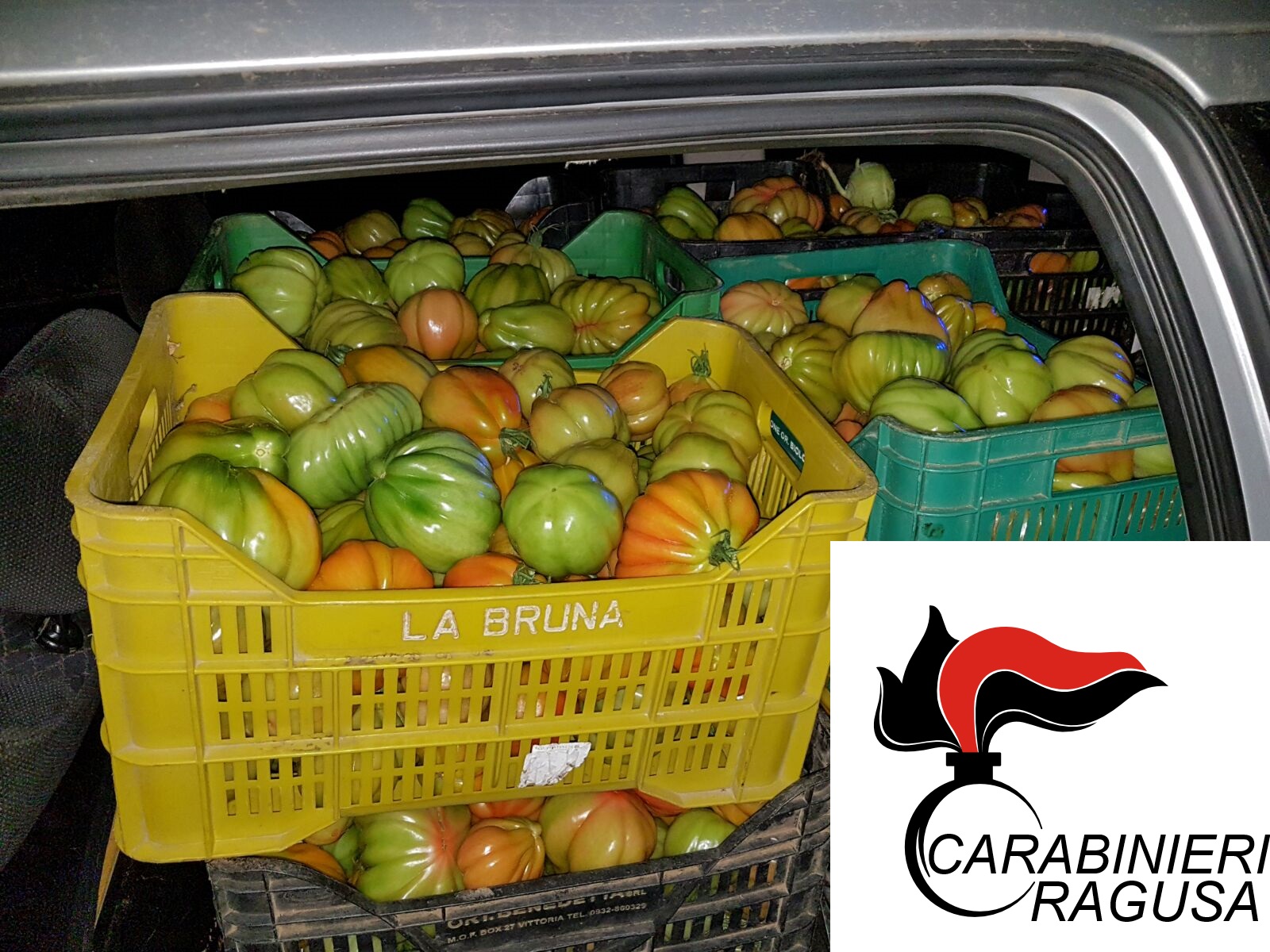 Santa Croce, fermati quattro ladri di pomodori: ne avevano rubato 300 chili