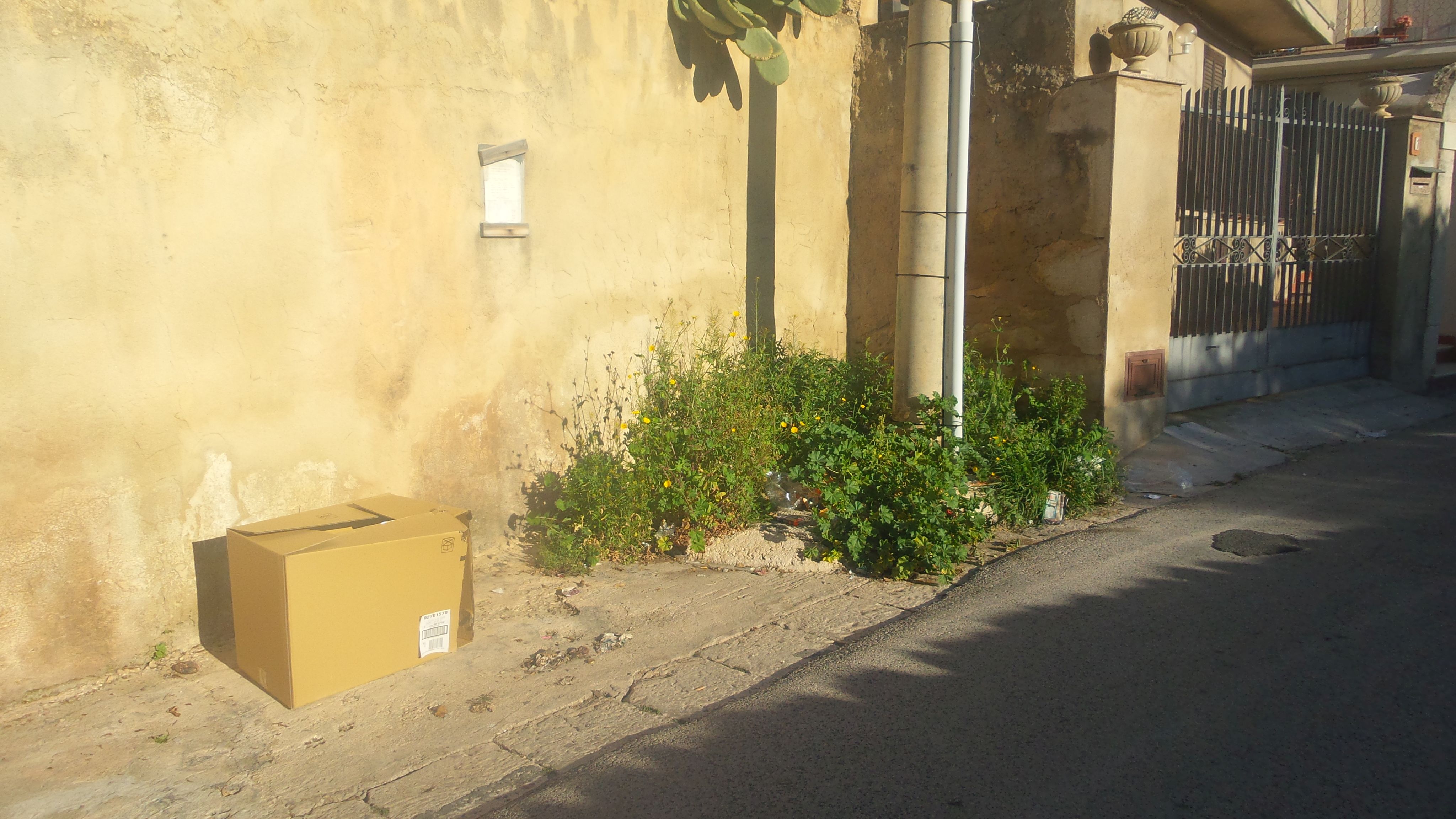  Erbacce ai bordi delle strade, denuncia di Fare Ambiente: “Crescono ovunque”