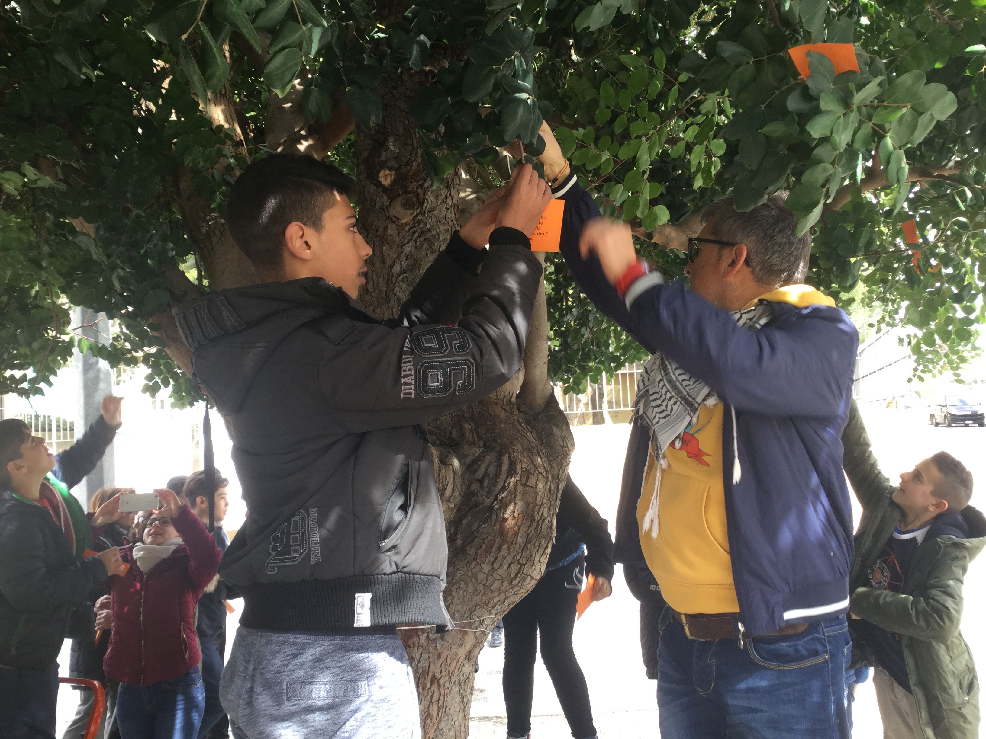 I carrubi si colorano d’arancio: la lotta per la legalità riparte dalla scuola